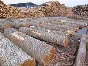 芬兰木材出口不确定因素将继续存在